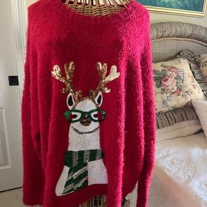 Ladies sweater
